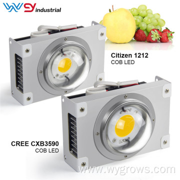 WENYI DIY Grow Light Cob Cree